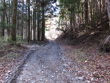 20191129hike (27)